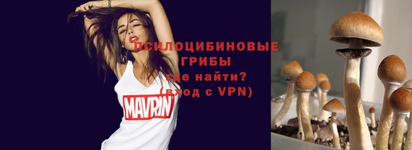 альфа пвп Корсаков