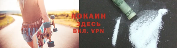 дживик Костерёво