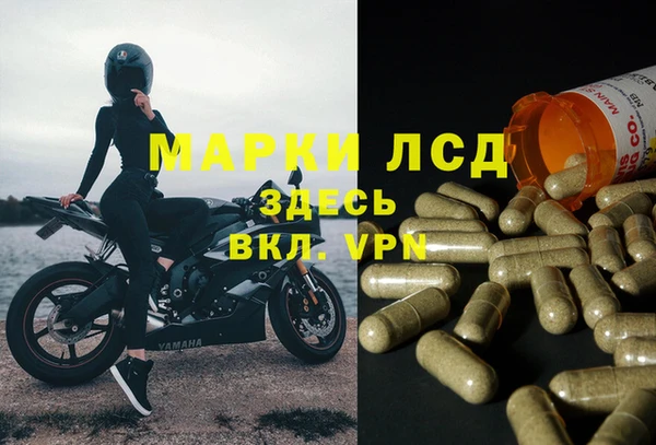 2c-b Коряжма