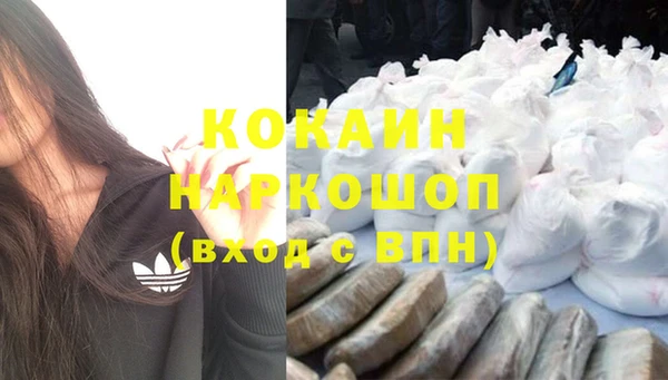 дживик Костерёво
