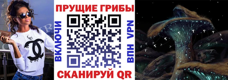 Купить закладки  Чишмы  Псилоцибиновые грибы мицелий 